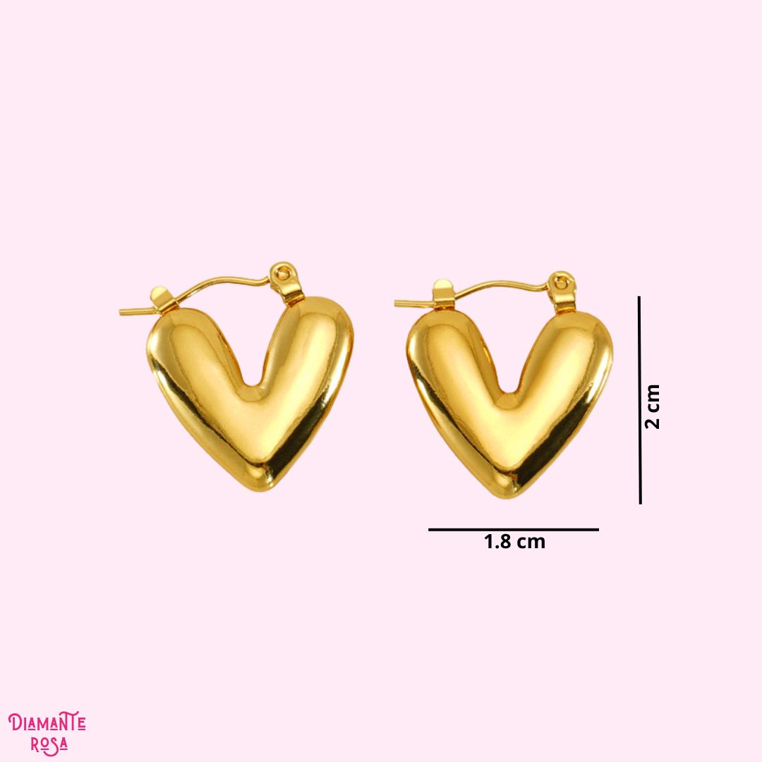 Aretes Vida