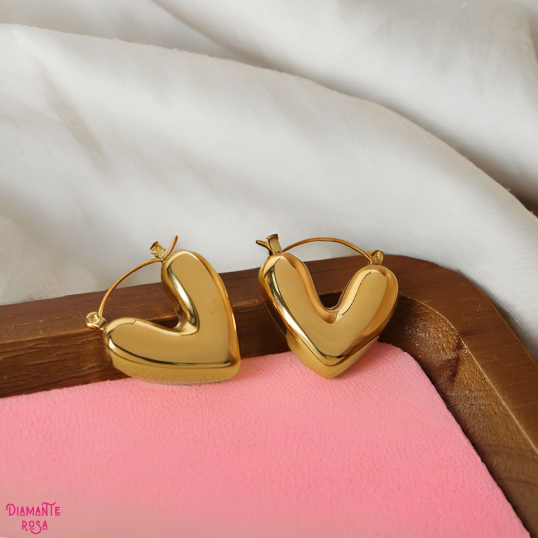 Aretes Vida