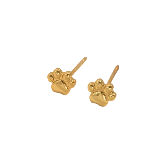 Aretes Huellitas