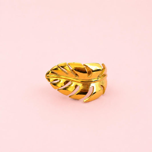 Anillo Natura