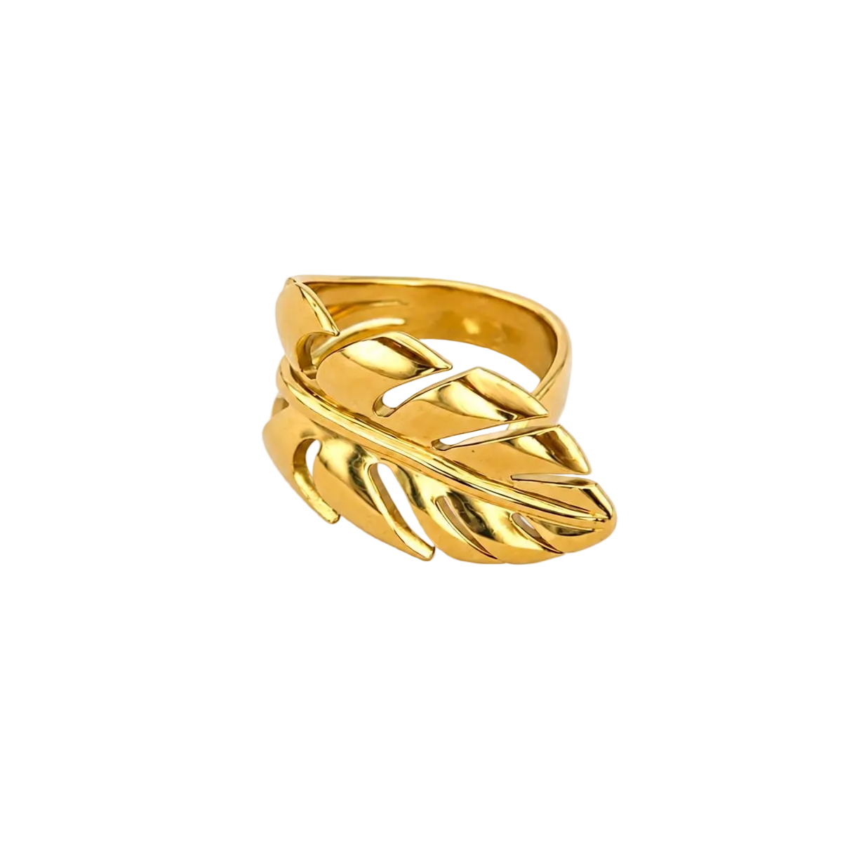 Anillo Natura