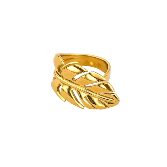 Anillo Natura
