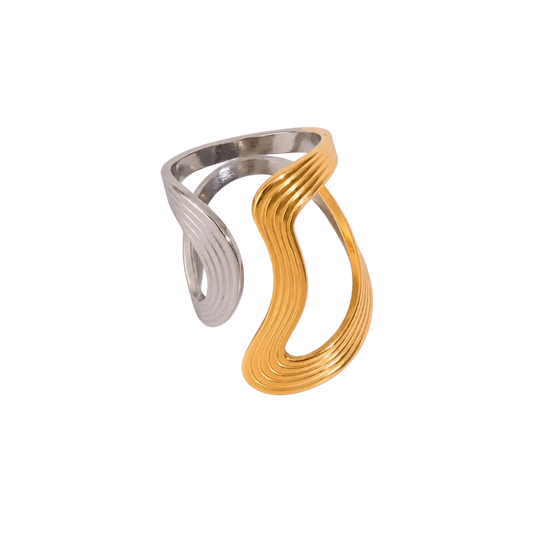 Anillo Sulem