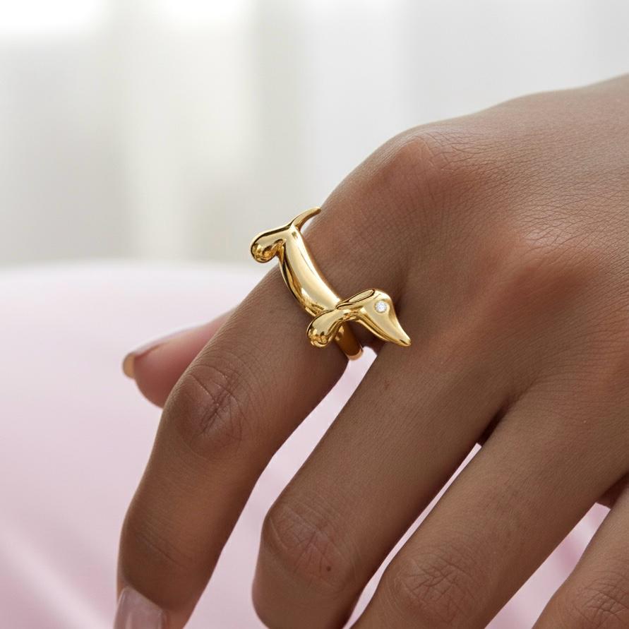Anillo Buster