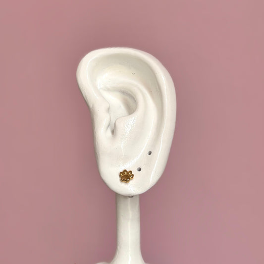 Aretes Huellitas