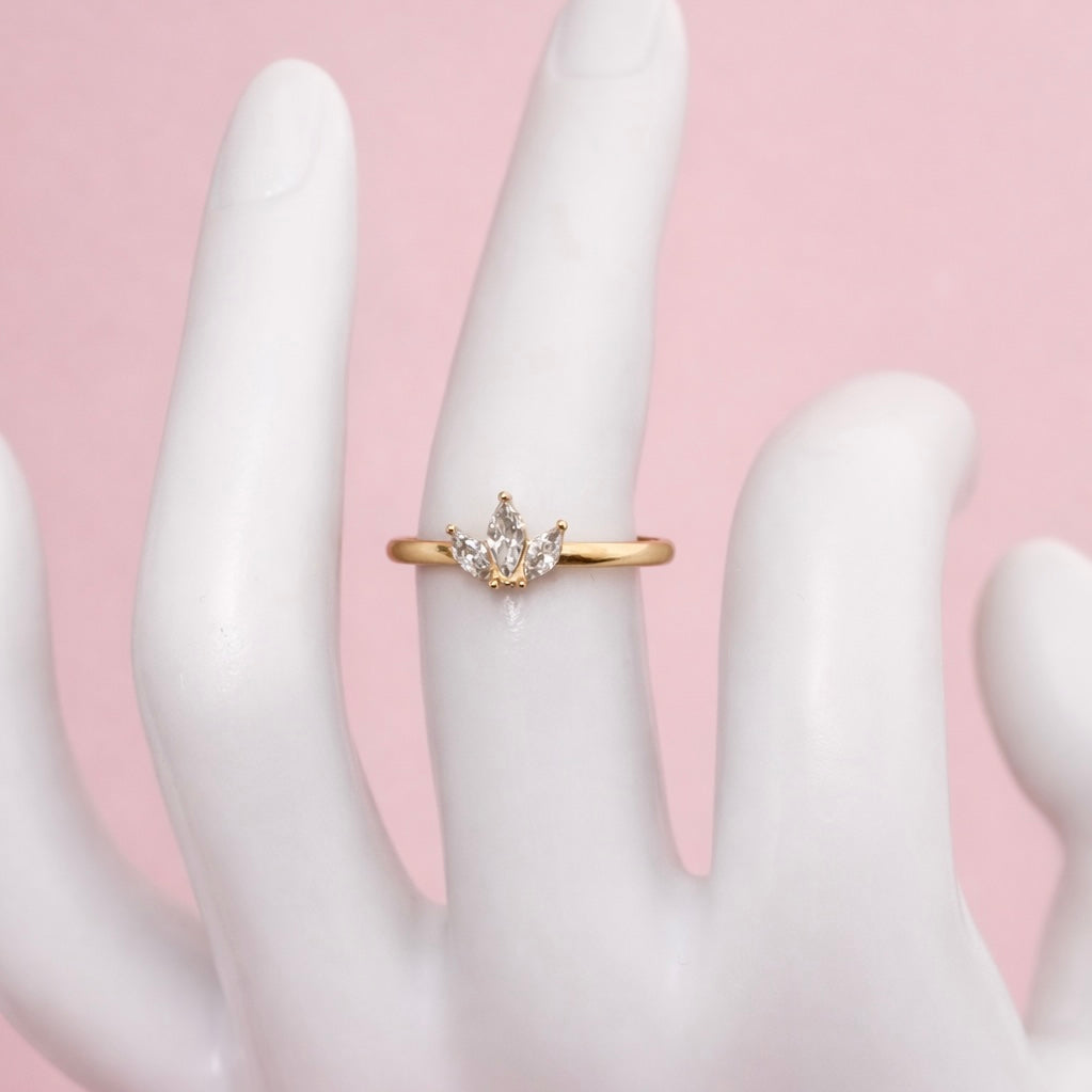 Anillo Trini
