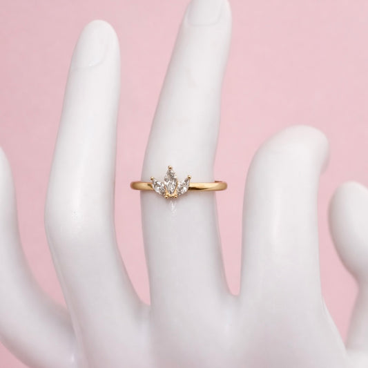 Anillo Trini