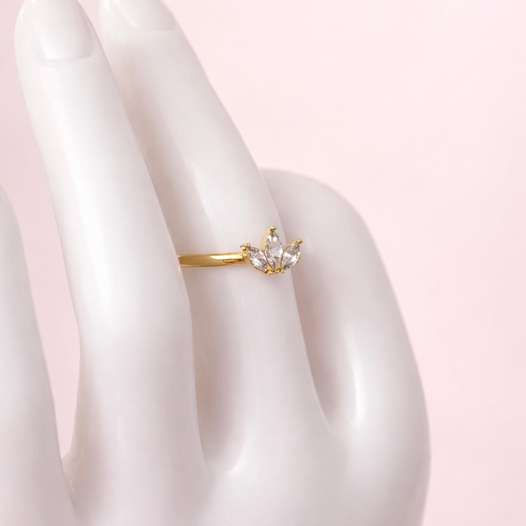 Anillo Trini