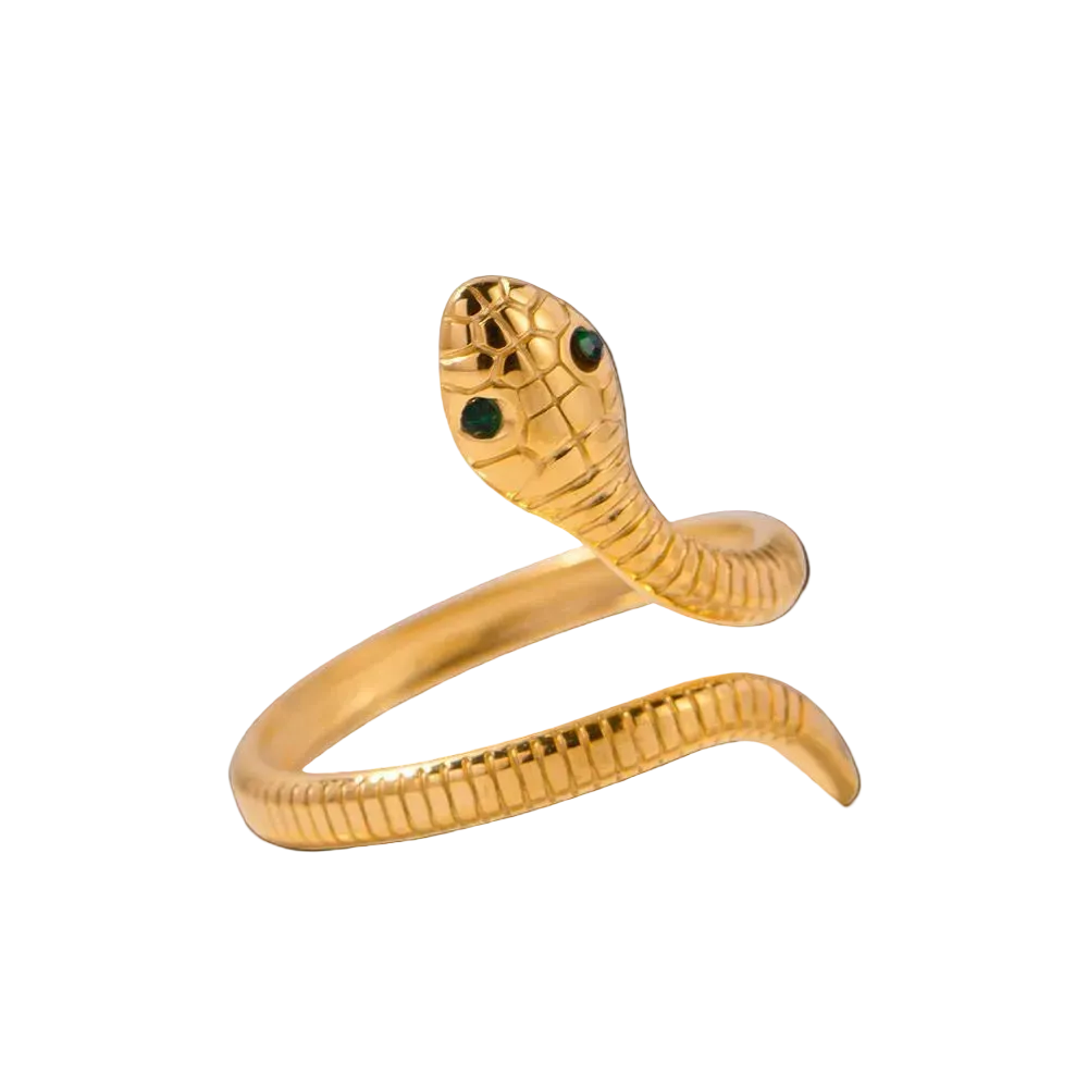 Anillo Nagini