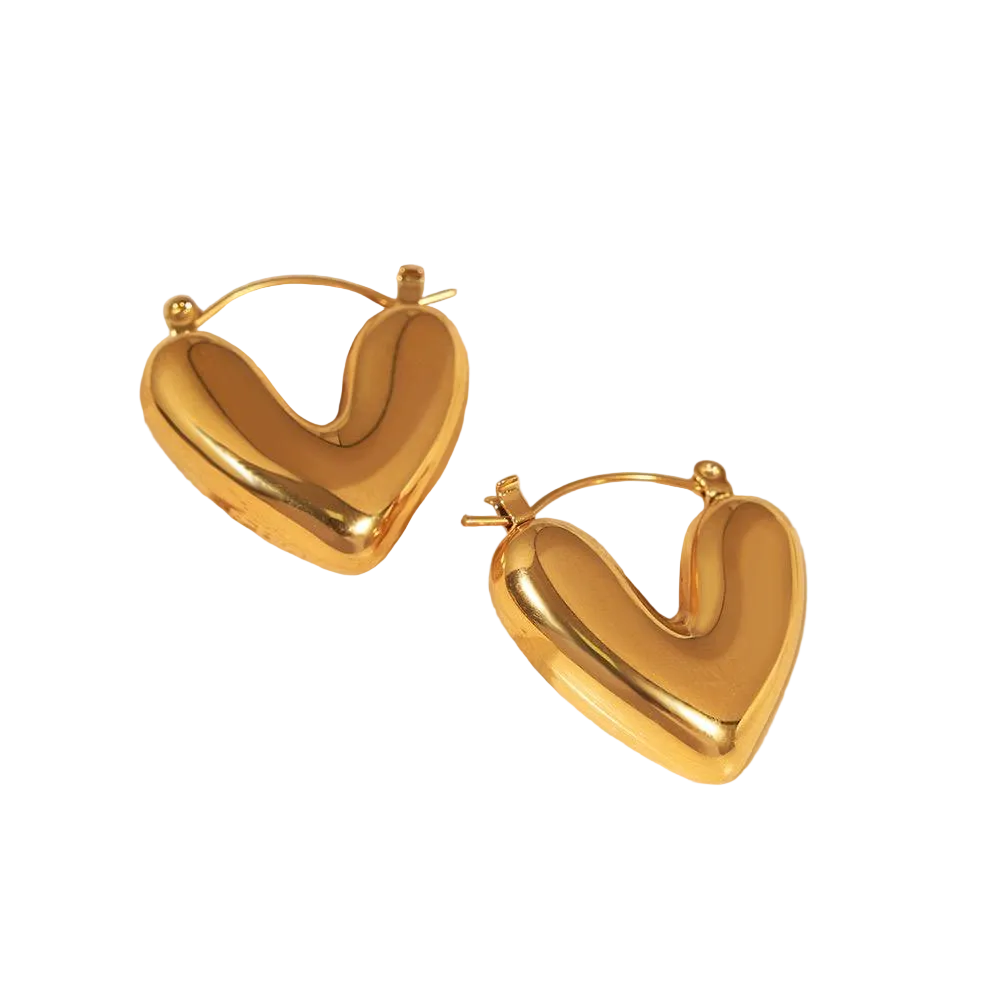 Aretes Vida