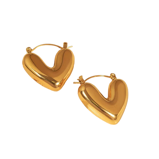 Aretes Vida