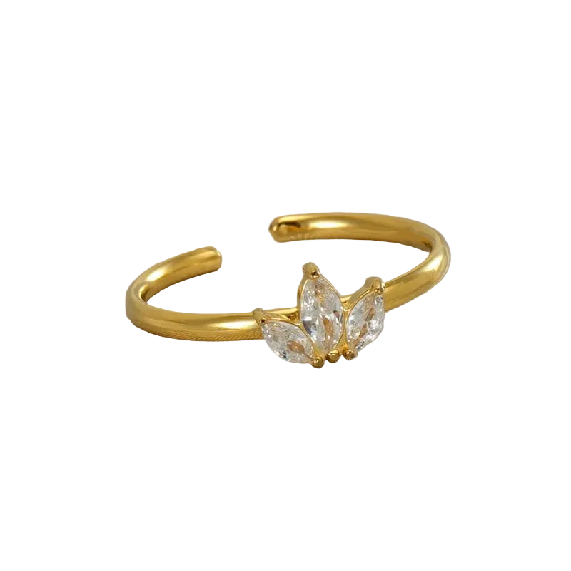 Anillo Trini
