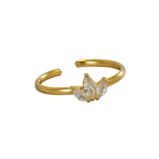 Anillo Trini