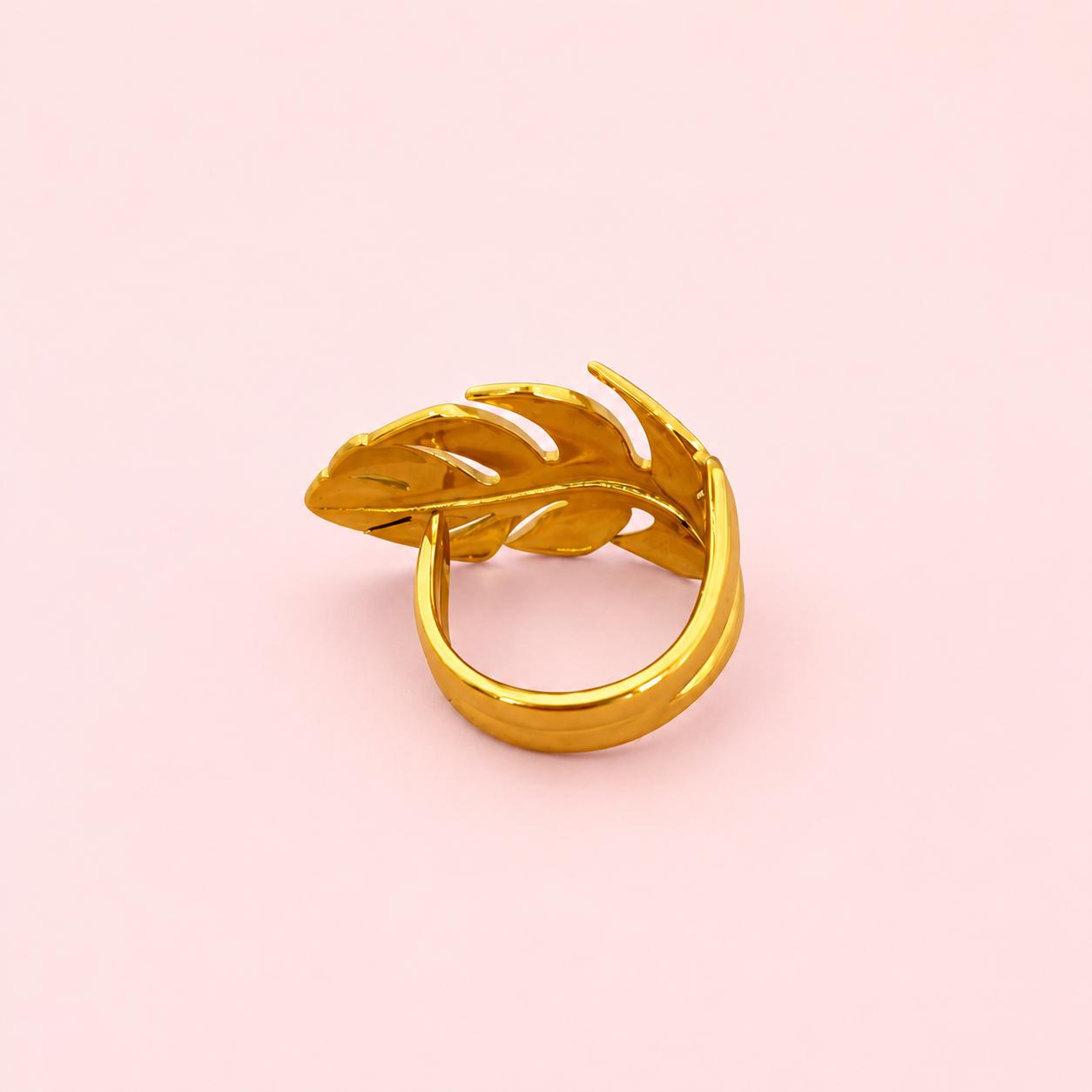 Anillo Natura